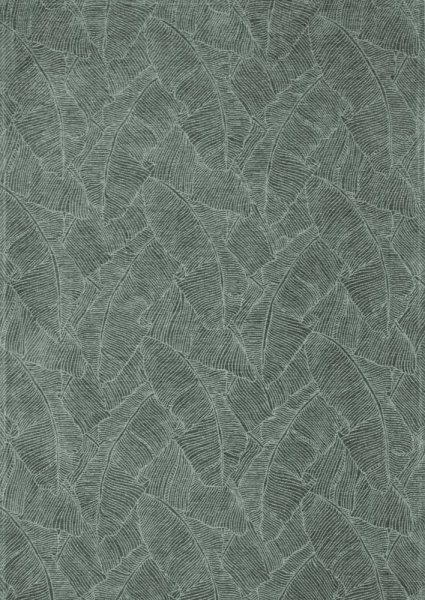 Dywan Bali Dusty Green 160X230 Carpet Decor By Fargotex