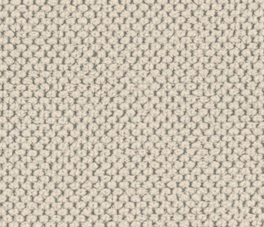 Curio 9