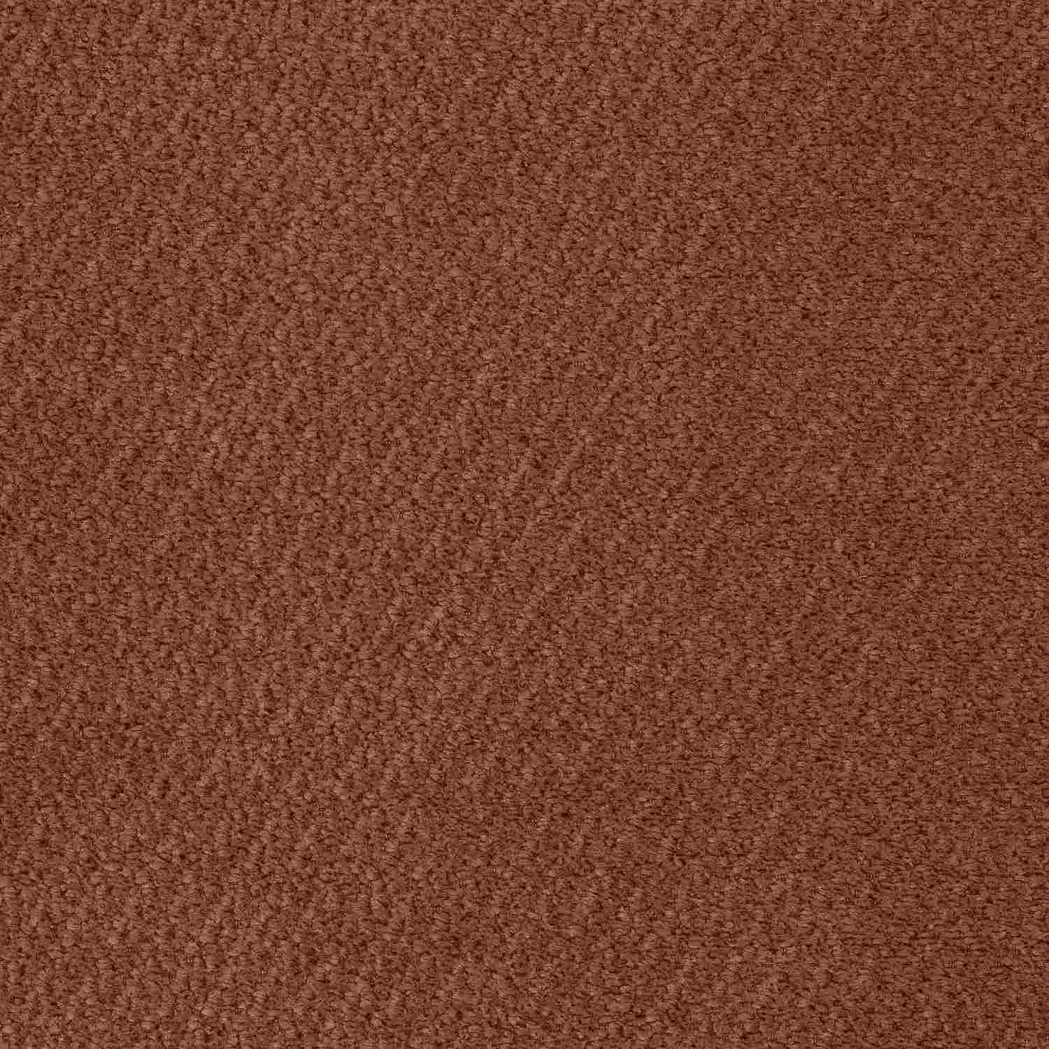 Vinci 56