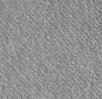 Leo 13