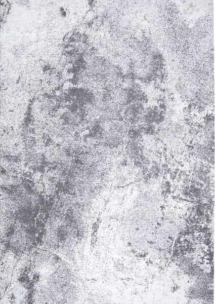 Dywan Moon Light Gray 160X230, 200x300 Carpet Decor By Fargotex