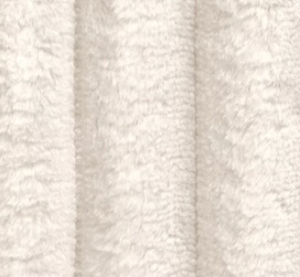 TILIA 01